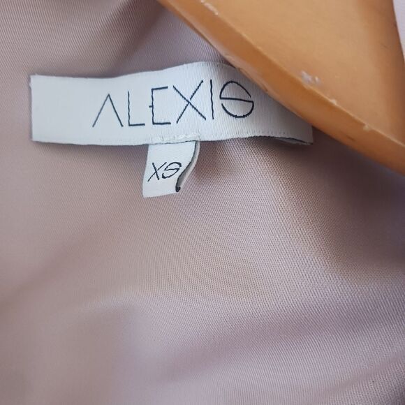 Alexis Matthew Pleated printed twill dress size XS - Picture 6 of 8